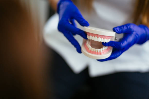 Best Preventive Dentistry  in Zephyrhills South, FL