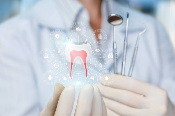 Best Emergency Dental Care  in Zephyrhills South, FL